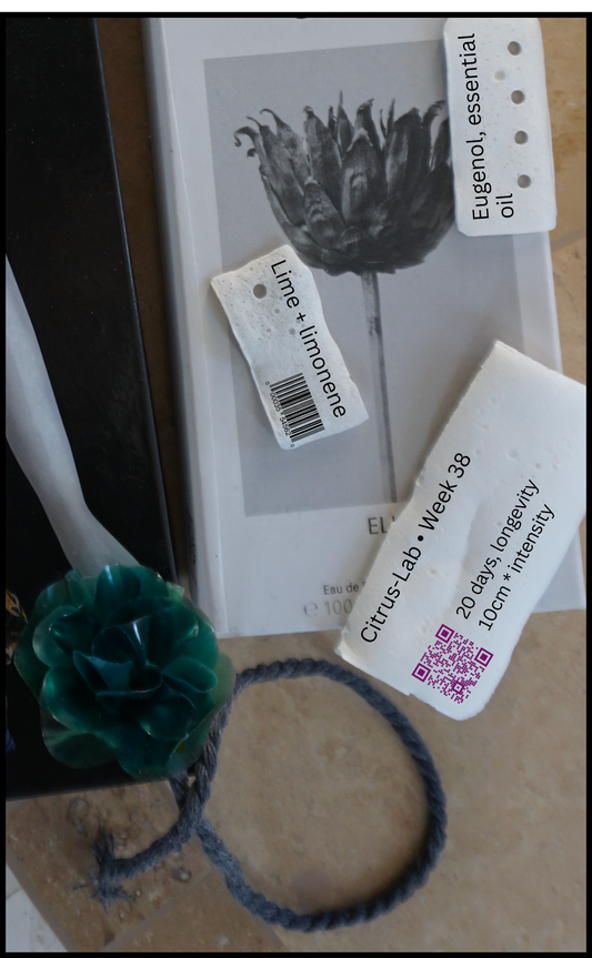 Scented card, part of DIY kit